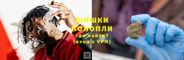 apvp Богородск
