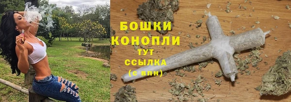 дмт Богданович
