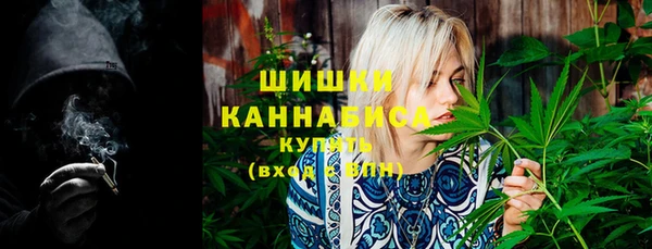 дмт Богданович