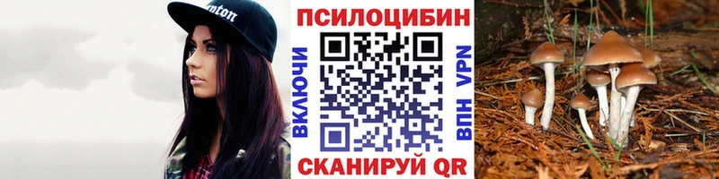 хочу наркоту  дарк нет какой сайт  Галлюциногенные грибы Psilocybe  Кушва 
